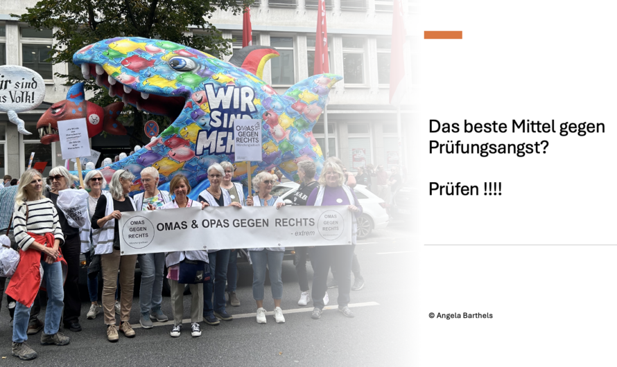 Prüfdemo in Düsseldorf 12.9.26